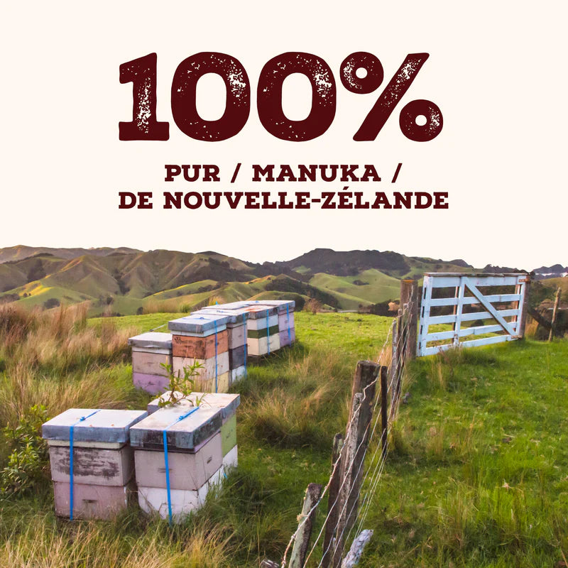 Miel de Manuka 340 MGO – 250g | Nouvelle-Zélande